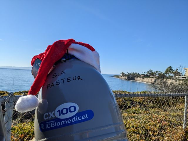 The dry shipper soaking up the rays before being shipped back to France