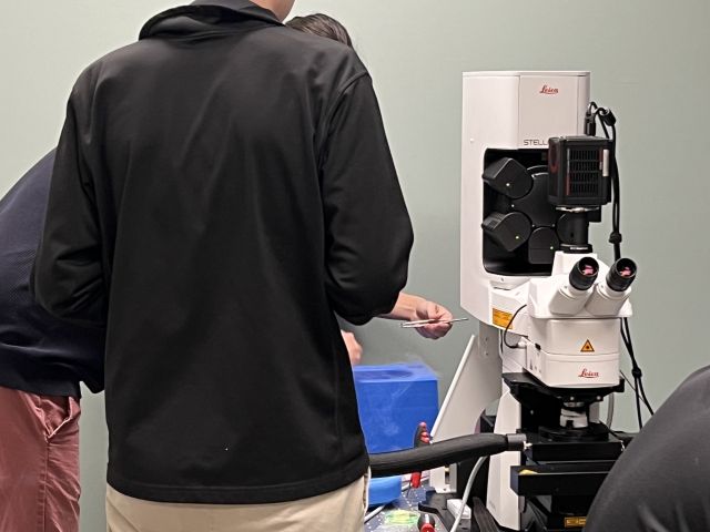 Loading the STELLARIS 5