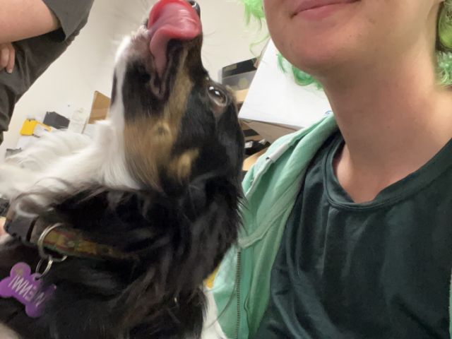 Wenwi, Rowan, and Pierre