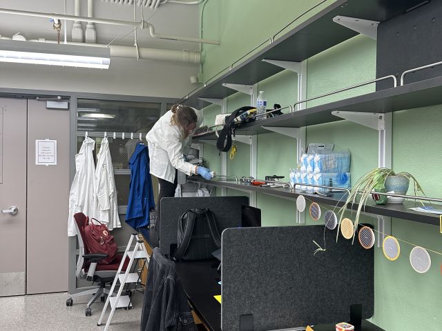 Spring Cleaning 2024