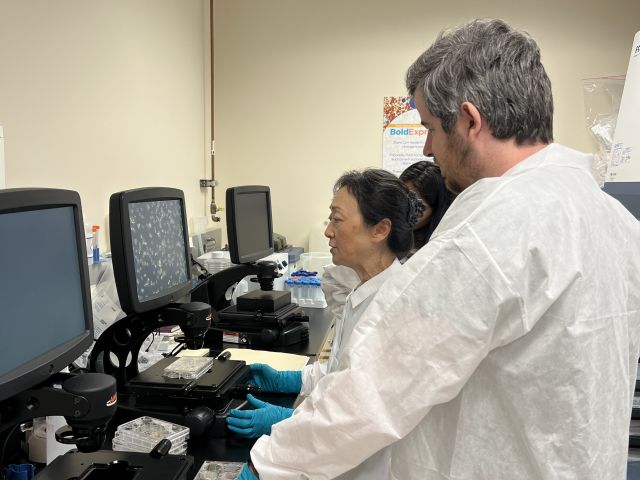 Christina Tu looks at cells with Pierre