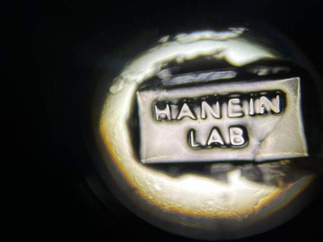 bioprinter Hanein lab 2