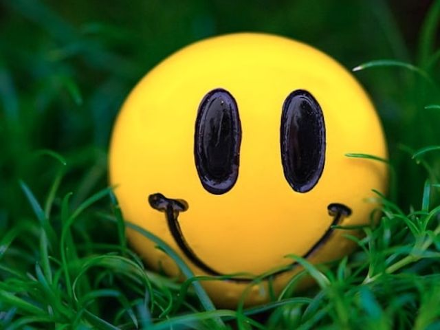 Smiley face in the grass